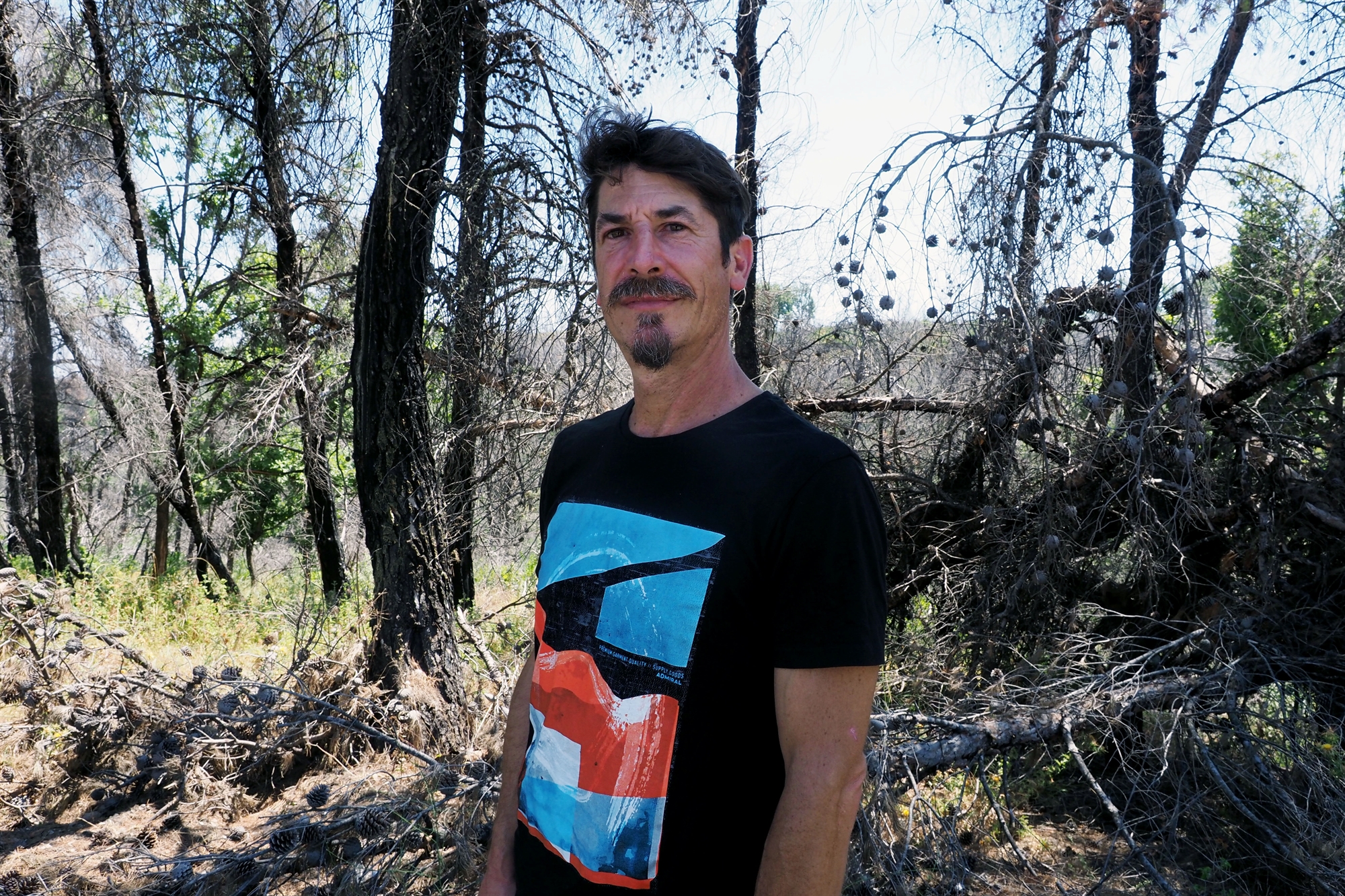 «Βλέπω πεύκο στην τηλεόραση και κλαίω»-1