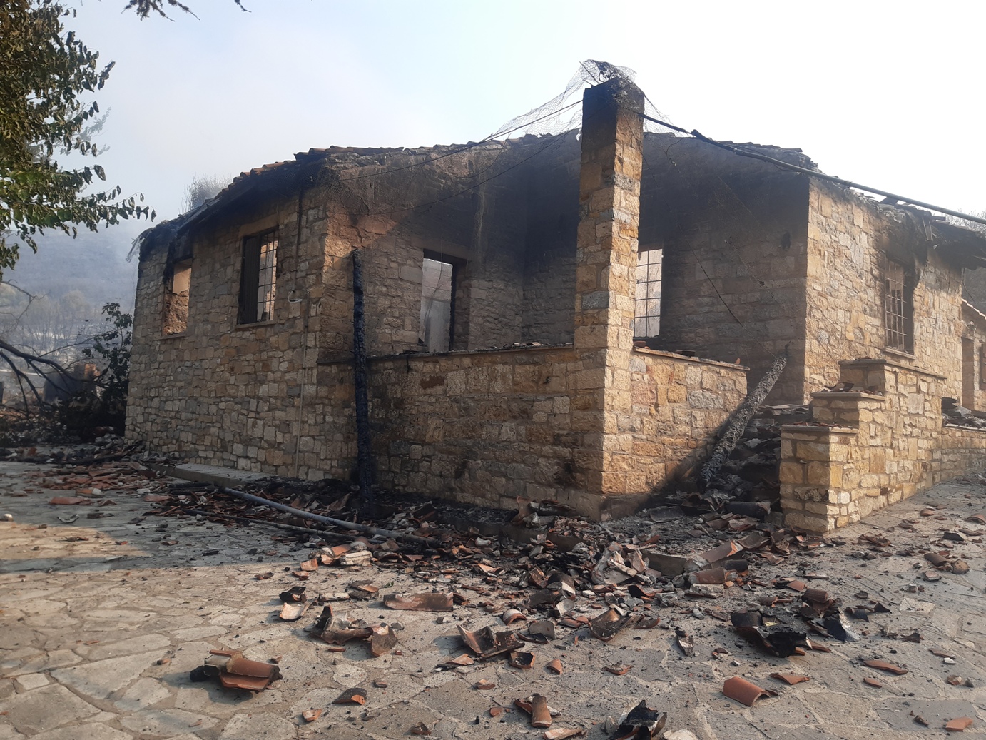 Βοιωτία: Πυρκαγιά απείλησε τη Μονή του Οσίου Λουκά-1