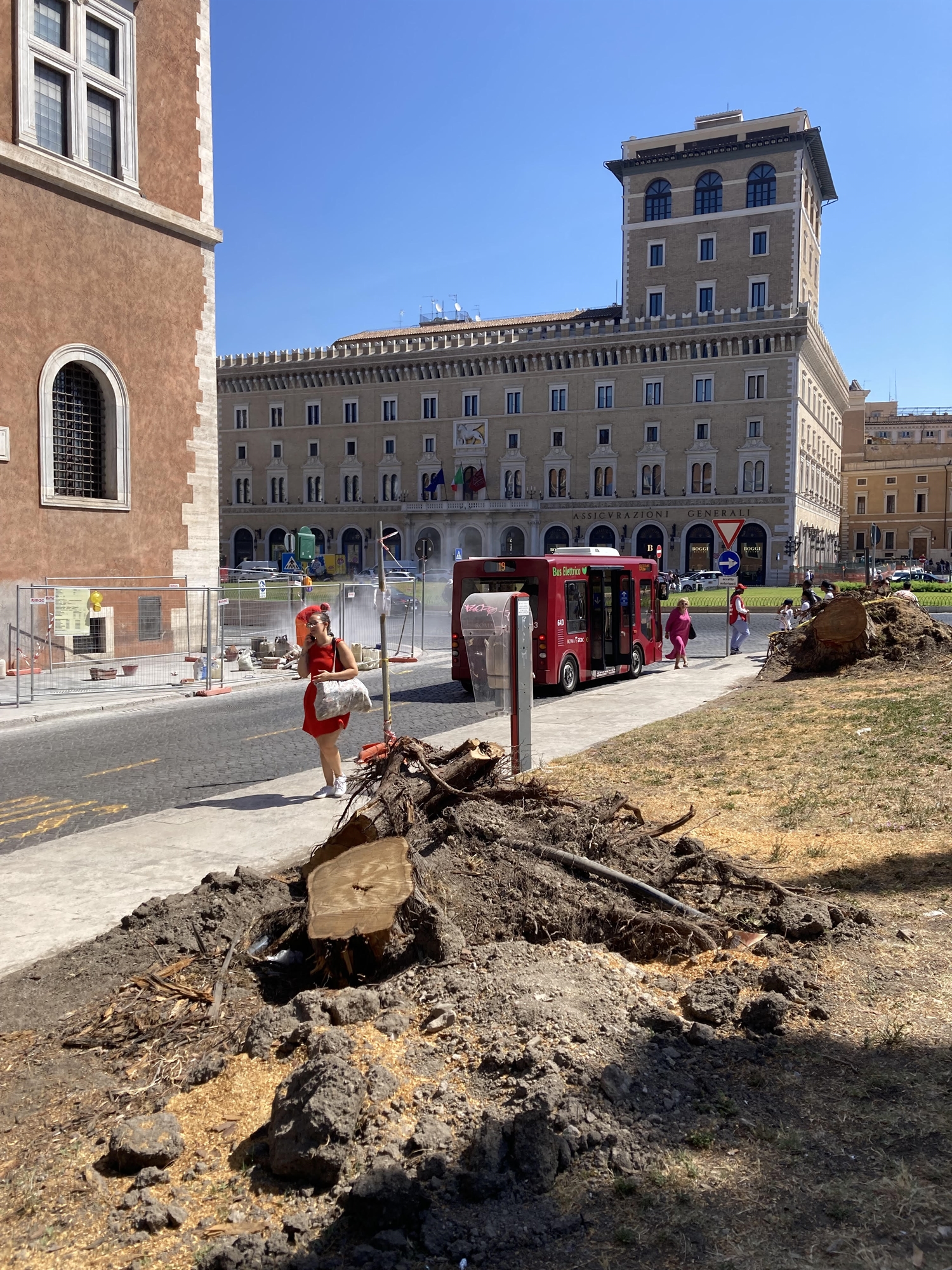 Ρώμη: Ξεριζώνουν τα πεύκα όταν αρρωσταίνουν-2