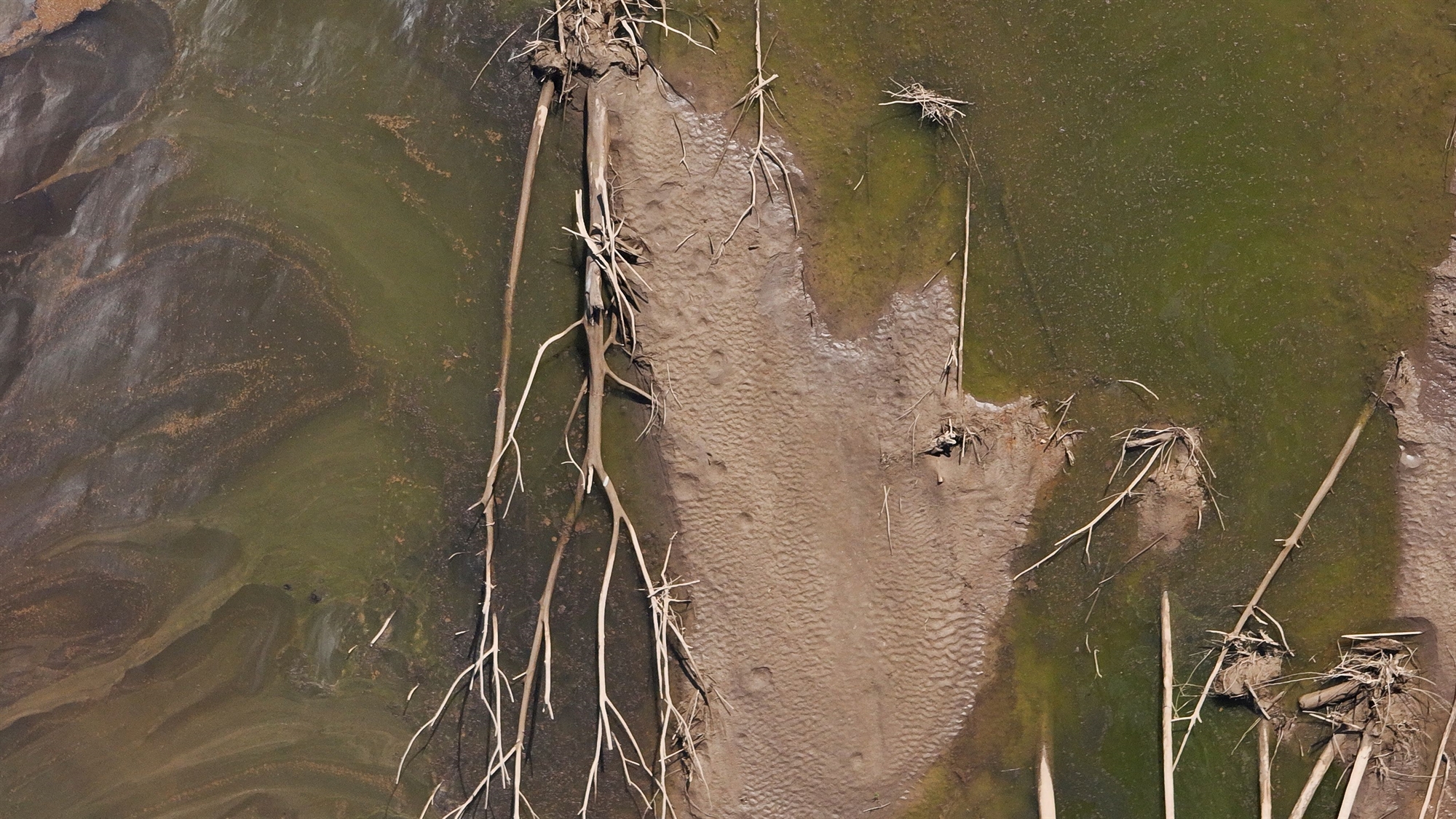 Αποχαιρετήστε τον χειμώνα: Καύσωνας στο νότιο ημισφαίριο, ρεκόρ θερμοκρασίας στους ωκεανούς-1