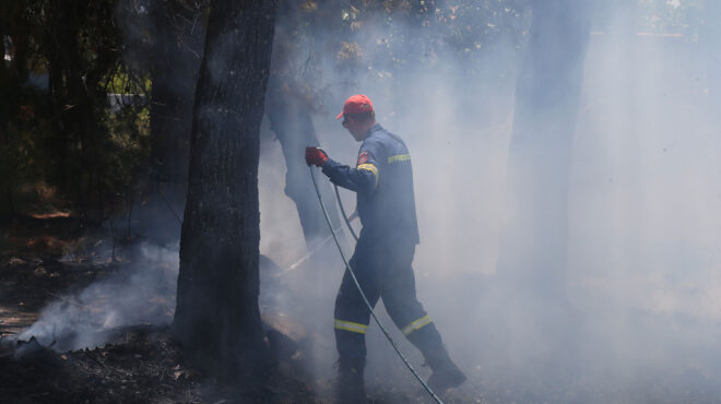 οριοθετήθηκε-η-πυρκαγιά-στο-αγιο-ορος-562571947