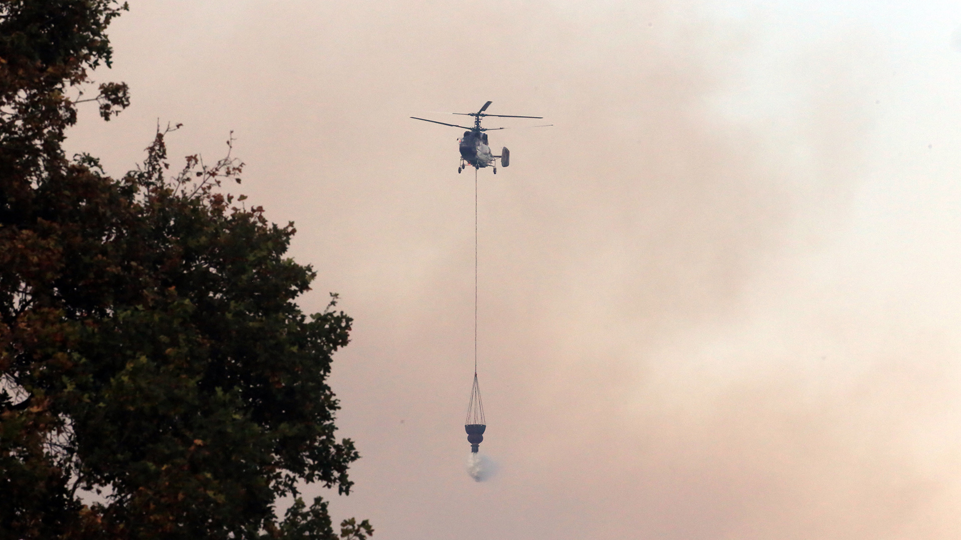 Αλεξανδρούπολη: «Η περιοχή ήταν “έτοιμη” για μια φωτιά με μεγάλη ένταση»-3