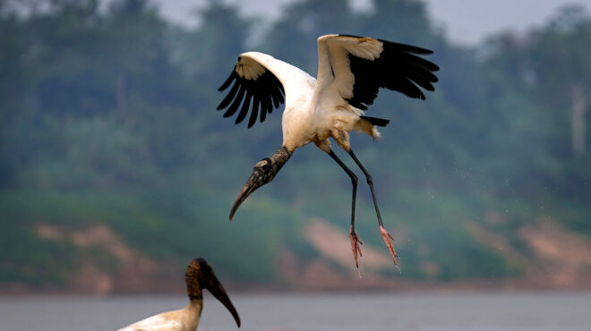 τουρκία-παραιτήθηκε-από-τη-διοργάνωσ-562552696