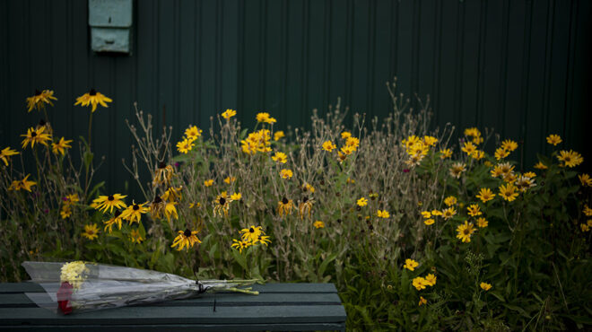 η-εποχή-των-κίτρινων-λουλουδιών-562564135