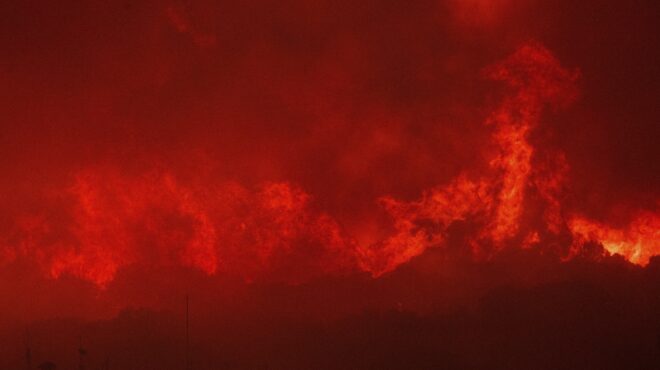 πυρόπληκτοι-αλεξανδρούπολης-από-αύρ-562585669