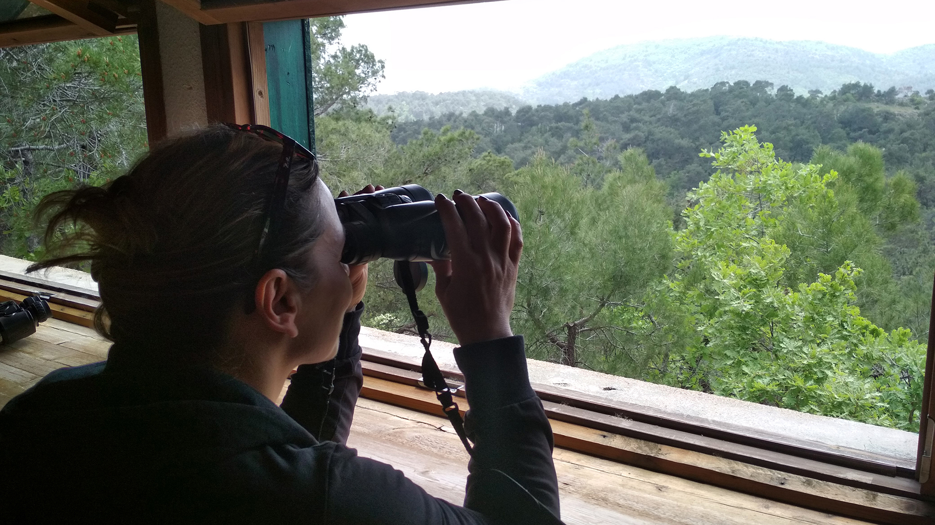 «Για εμάς, τους ανθρώπους της Δαδιάς, το δάσος που κάηκε ήταν η ζωή μας»-3