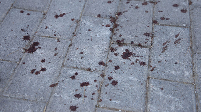 νέα-φιλαδέλφεια-νεκρός-οπαδός-της-αεκ-562558543