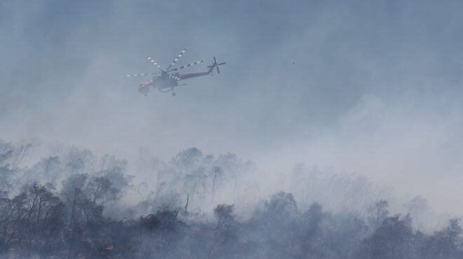 εύβοια-φωτιά-σε-δασική-περιοχή-της-καρ-562563730