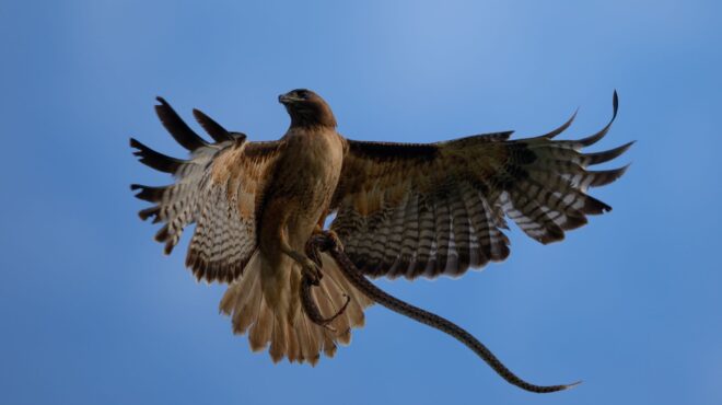 ηπα-τεξανή-δέχθηκε-διπλή-επίθεση-από-562560085