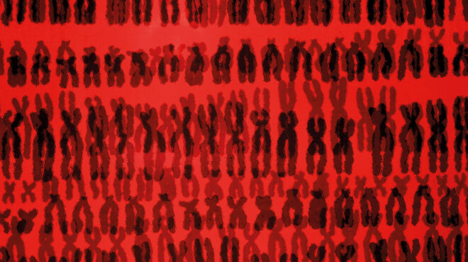 τα-1500-ξαδέλφια-μου-562577146