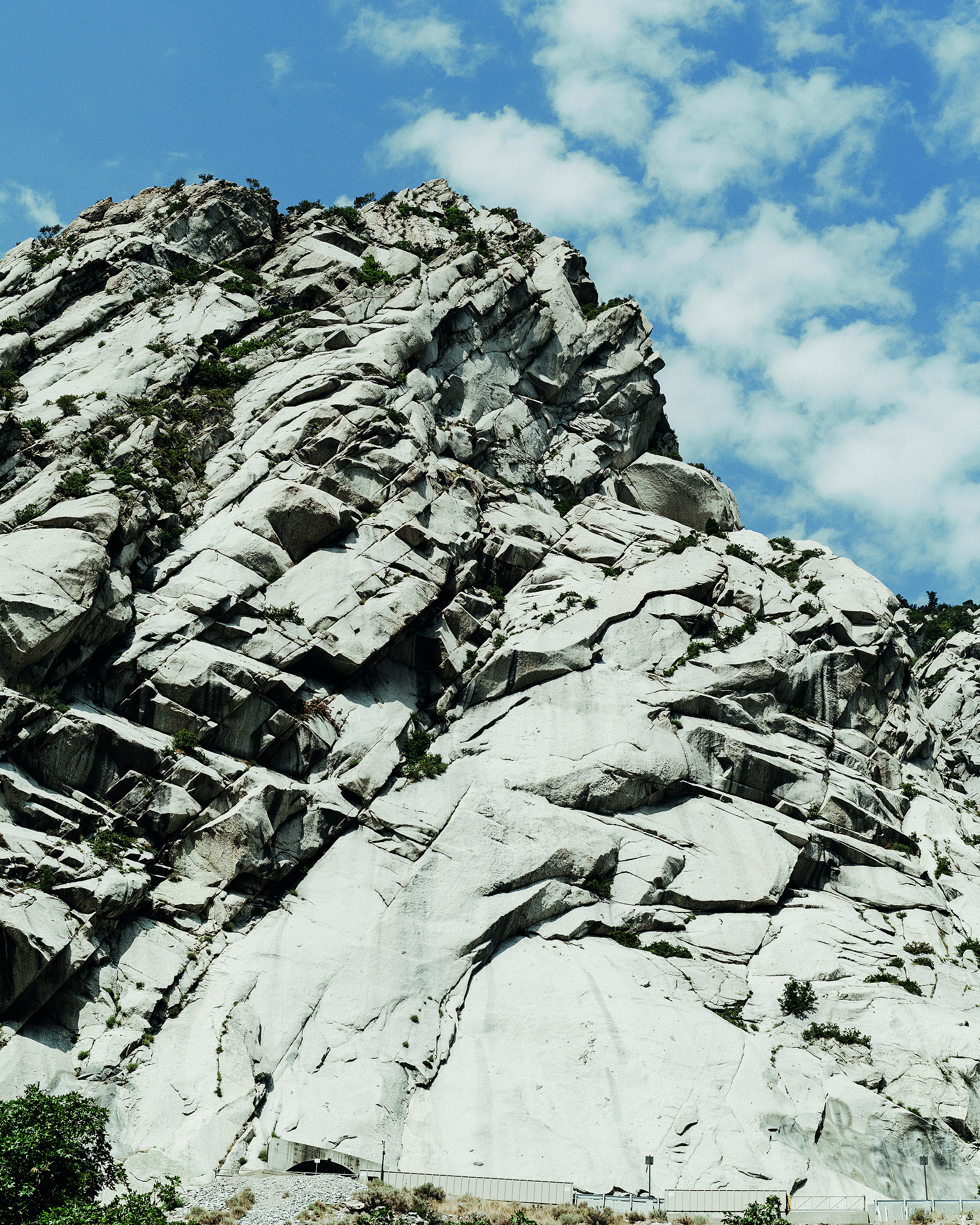 Τα 1500 ξαδέλφια μου-4