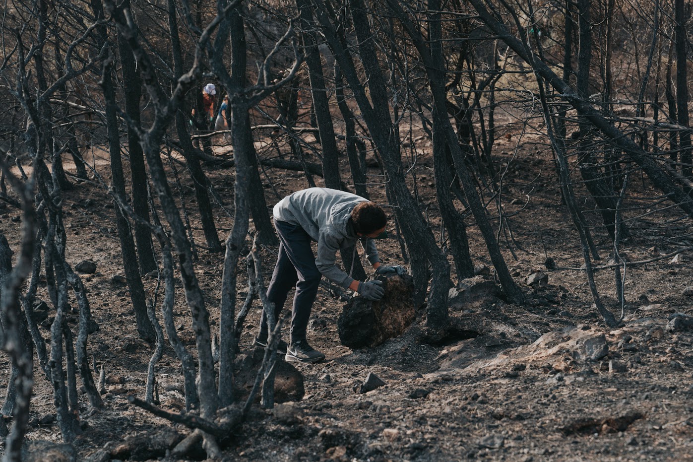 Iχνη ζωής μέσα στα καμένα-2