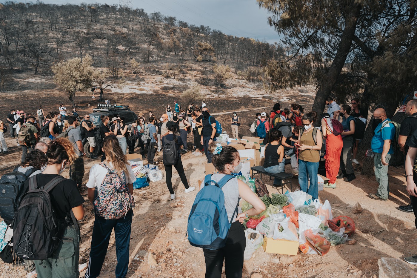 Iχνη ζωής μέσα στα καμένα-1