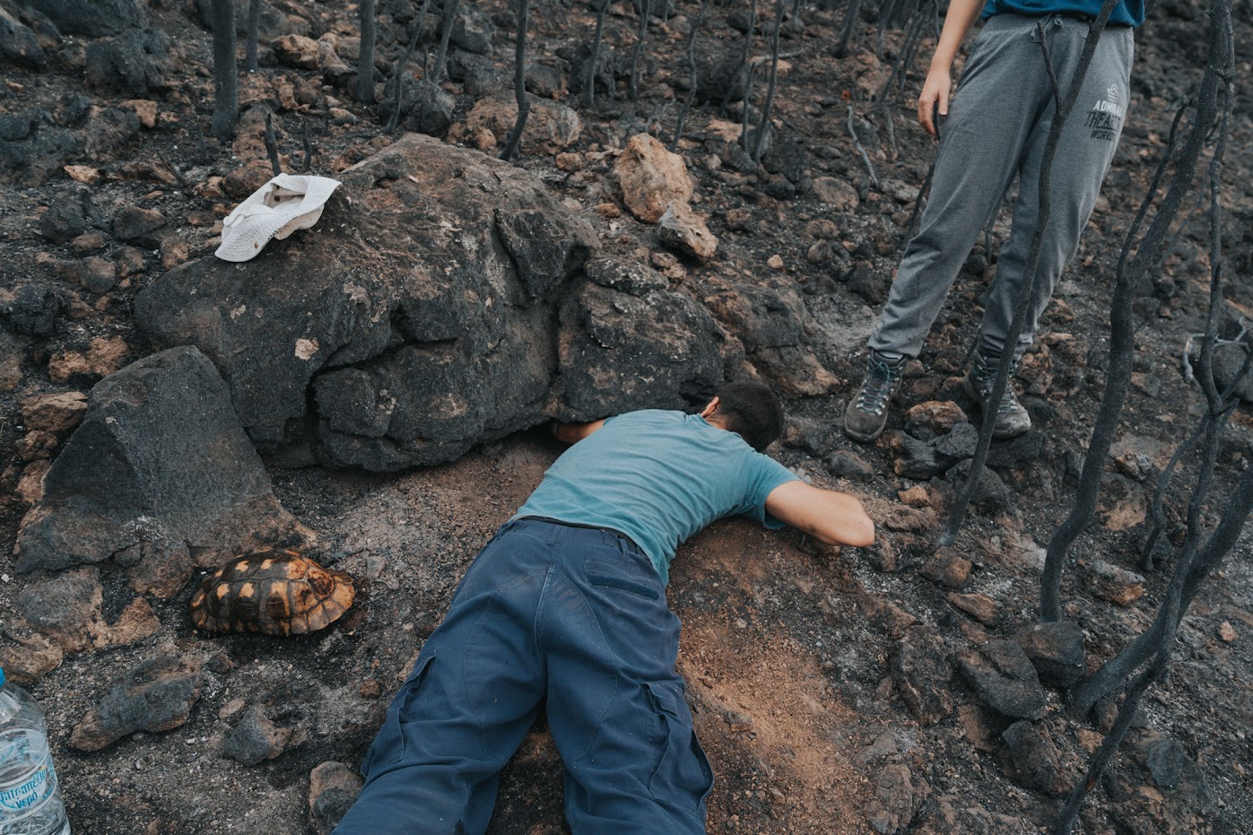 Iχνη ζωής μέσα στα καμένα-4