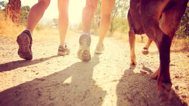 ερευνα-5-000-βήματα-ημερησίως-μειώνουν-το-562560121
