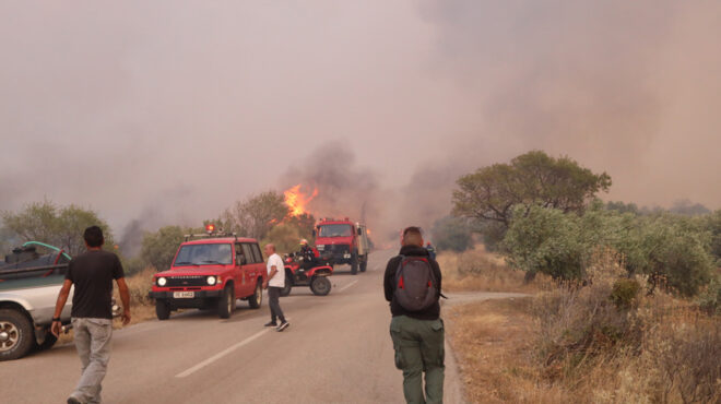 το-επίμονο-μέτωπο-της-βοιωτίας-αλί-562581328