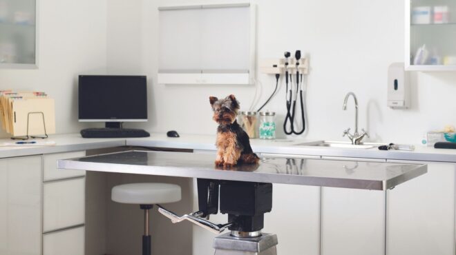 πόση-αξία-έχει-για-σας-η-ζωή-του-κατοικι-562563880