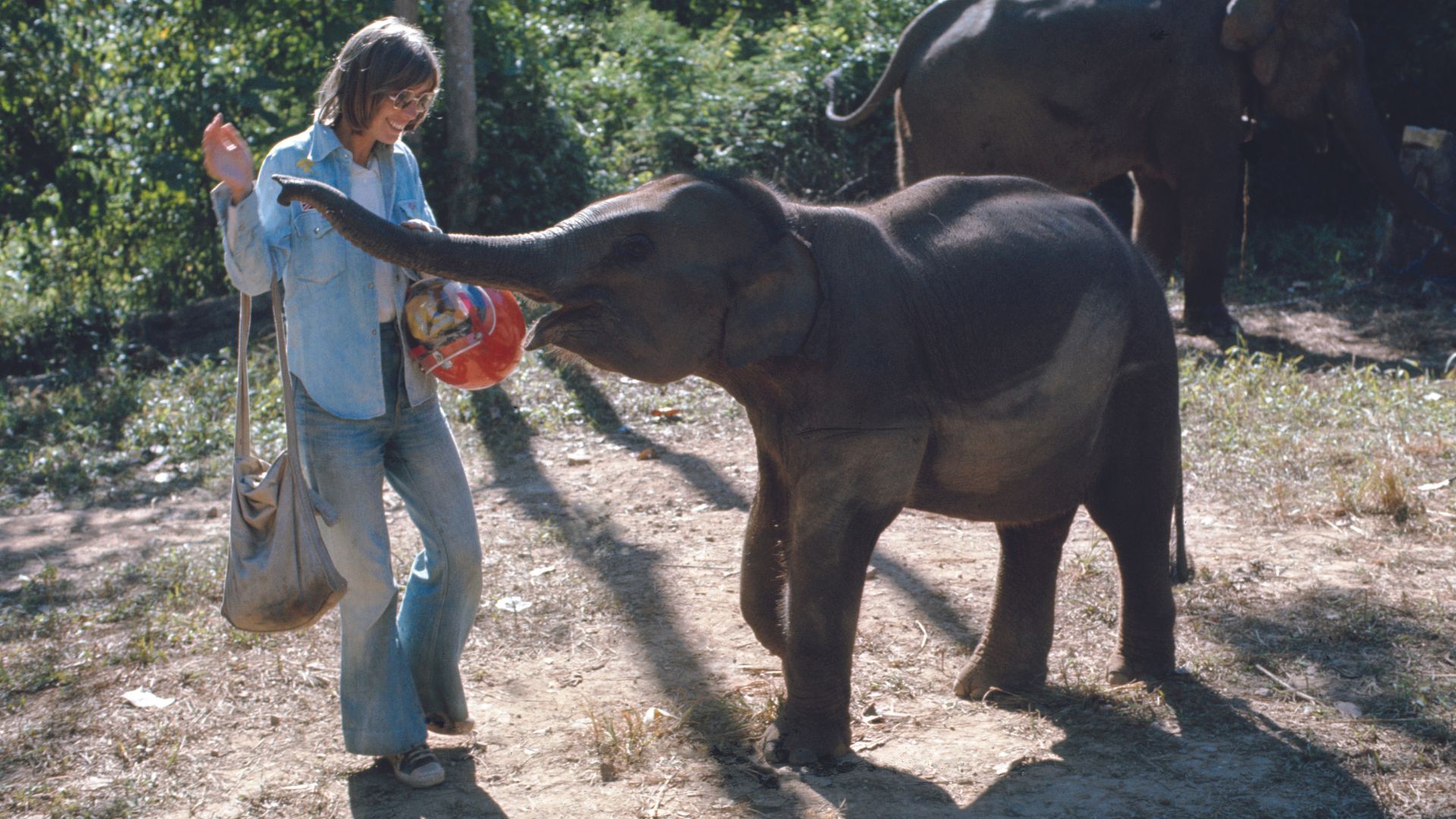 Το ζευγάρι πίσω από τους ταξιδιωτικούς οδηγούς Lonely Planet-8