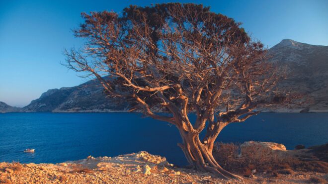δονούσα-από-τις-κατσικόστρατες-στους-562577119