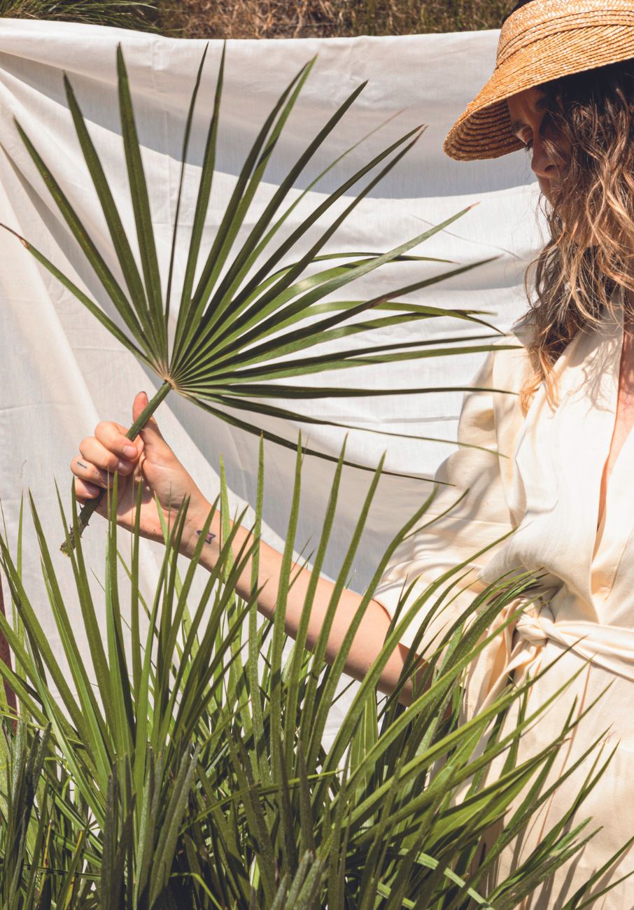 Χαμαίρωπας: Ο ελληνικός φοίνικας-1