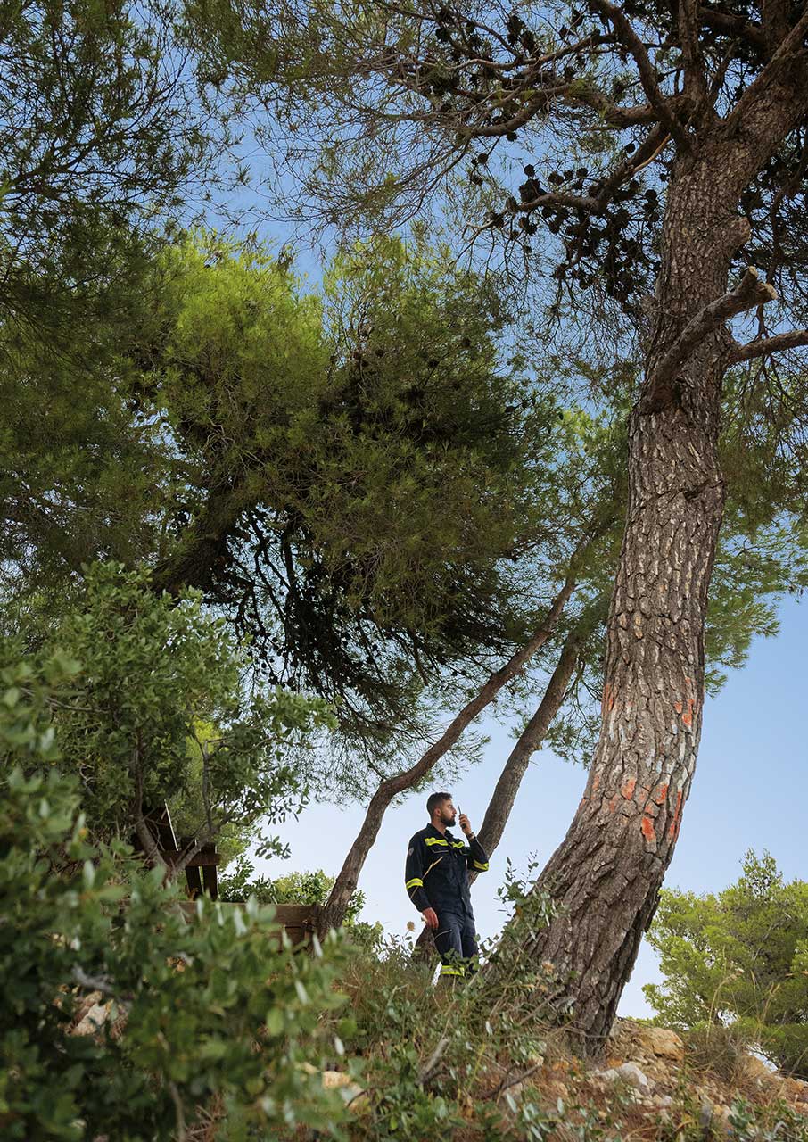 Στην Πάρνηθα, μια αλυσίδα εθελοντών προστατεύει το πολύπαθο βουνό από τις πυρκαγιές-2