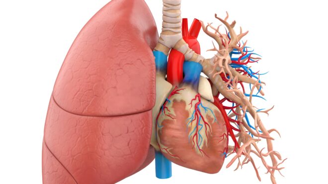 πότε-η-υπέρταση-προσβάλλει-τους-πνεύμ-562559149
