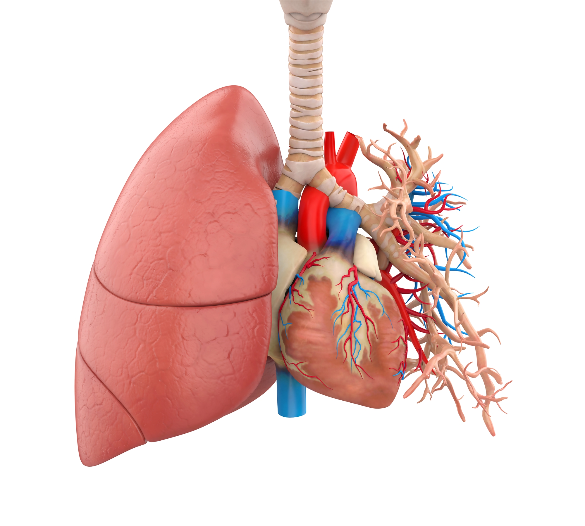 πότε-η-υπέρταση-προσβάλλει-τους-πνεύμ-562559149