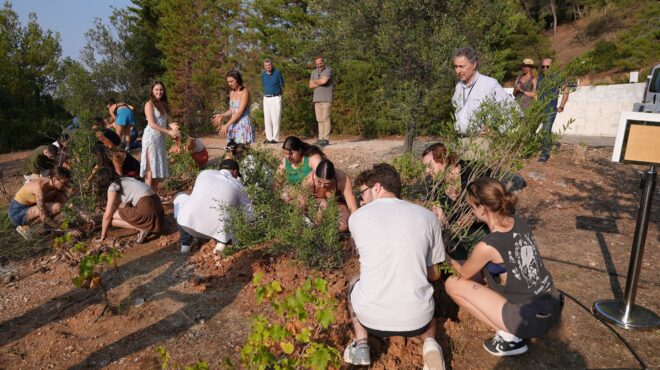 ενα-δέντρο-για-κάθε-παιδί-562584307