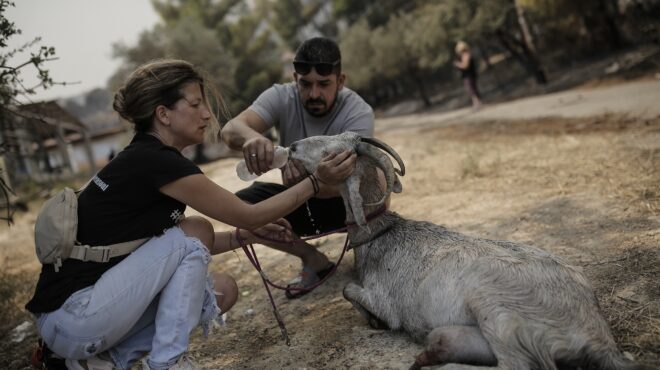 εντός-και-εκτός-ποιος-είναι-τελικά-πιο-562580011