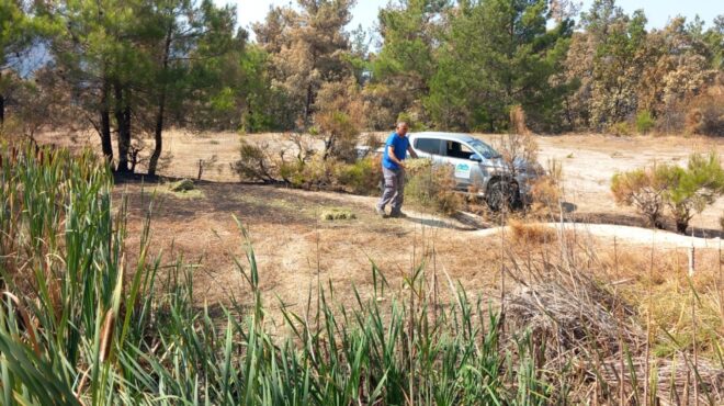 αφησαν-τροφή-για-τα-ελάφια-σε-πάρνηθα-κ-562592161