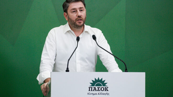 ν-ανδρουλάκης-θα-αγωνιστούμε-για-κοιν-562568380