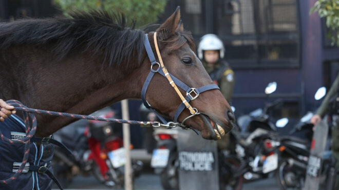 αρθρο-χ-τσούκα-στην-κ-η-έφιππη-αστυν-562563499
