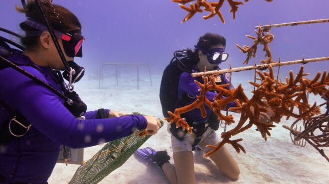 αγωνιώδεις-προσπάθειες-για-να-σωθούν-562564213