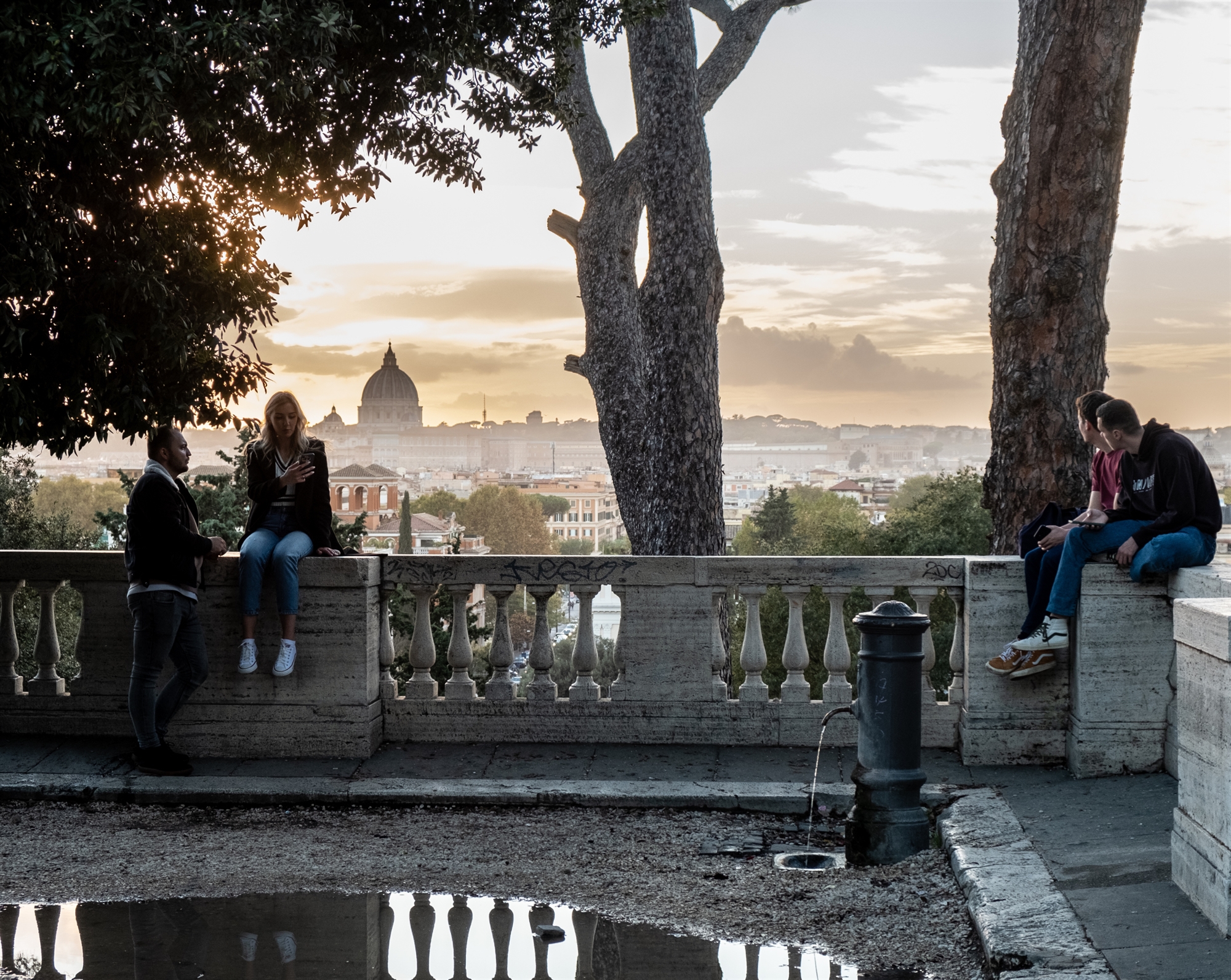 Ρώμη: Ξεριζώνουν τα πεύκα όταν αρρωσταίνουν-1