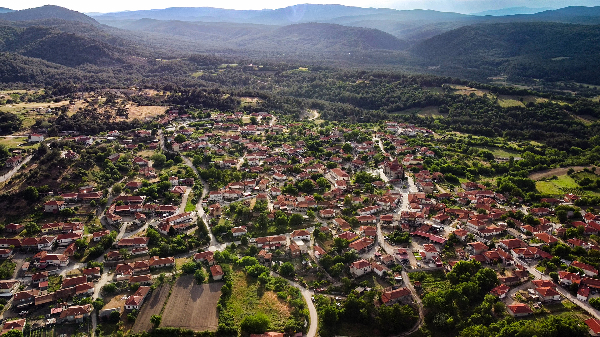«Για εμάς, τους ανθρώπους της Δαδιάς, το δάσος που κάηκε ήταν η ζωή μας»-1