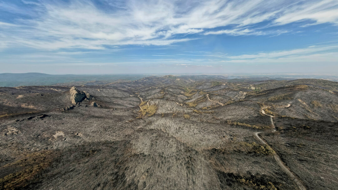 δαδιά-εικόνες-απόλυτης-καταστροφής-σ-562592317