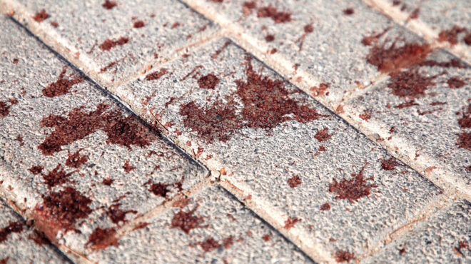 νέα-φιλαδέλφεια-μου-είπαν-ότι-έρχοντ-562560010