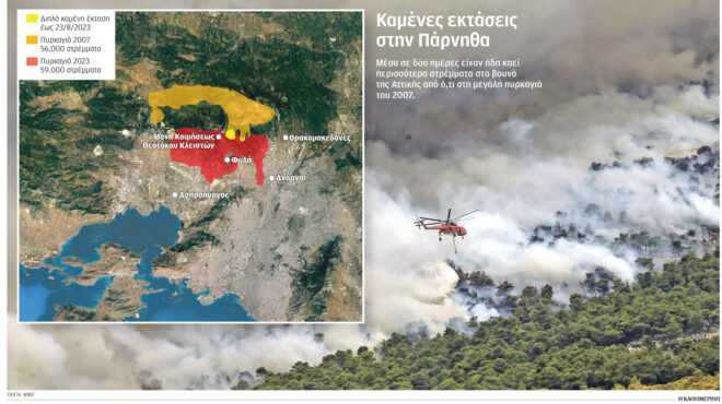 ακόμη-πιο-ζεστή-η-αθήνα-χωρίς-το-δάσος-τ-562582258