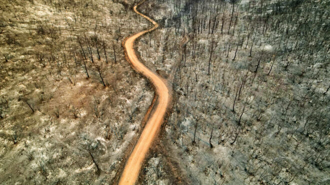 ο-συναγερμός-το-κυνήγι-των-σκιών-και-οι-562585048