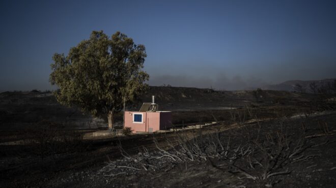πού-δεν-πέτυχε-η-πρόληψη-στα-δάση-562555369