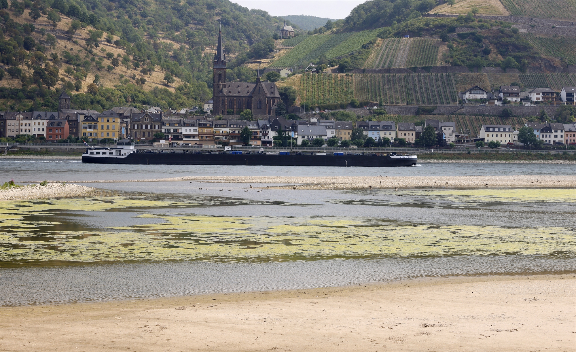 Γερμανία: Ο Ρήνος στερεύει, η βιομηχανία κινδυνεύει-1