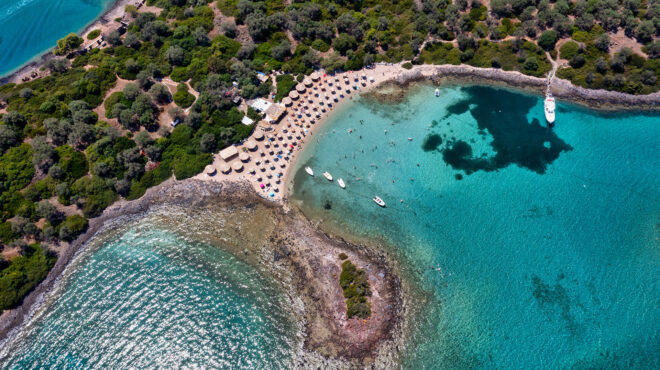 north-evia-pass-ανοίγει-η-πλατφόρμα-για-αιτήσεις-562581325