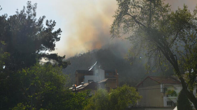 φωτιά-στην-τρίπολη-προσαγωγή-υπόπτου-562557676