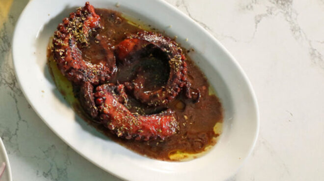 χταπόδι-ξιδάτο-562563331