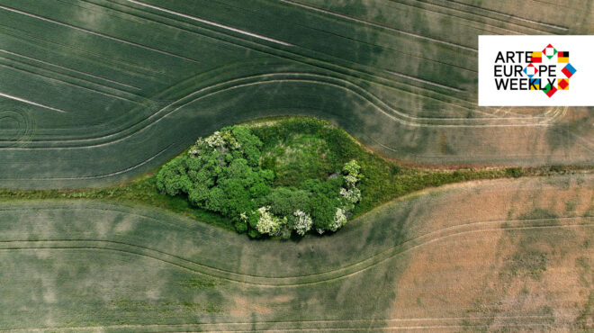arte-η-ευρώπη-κάθε-εβδομάδα-to-μέλλον-τη-562589893
