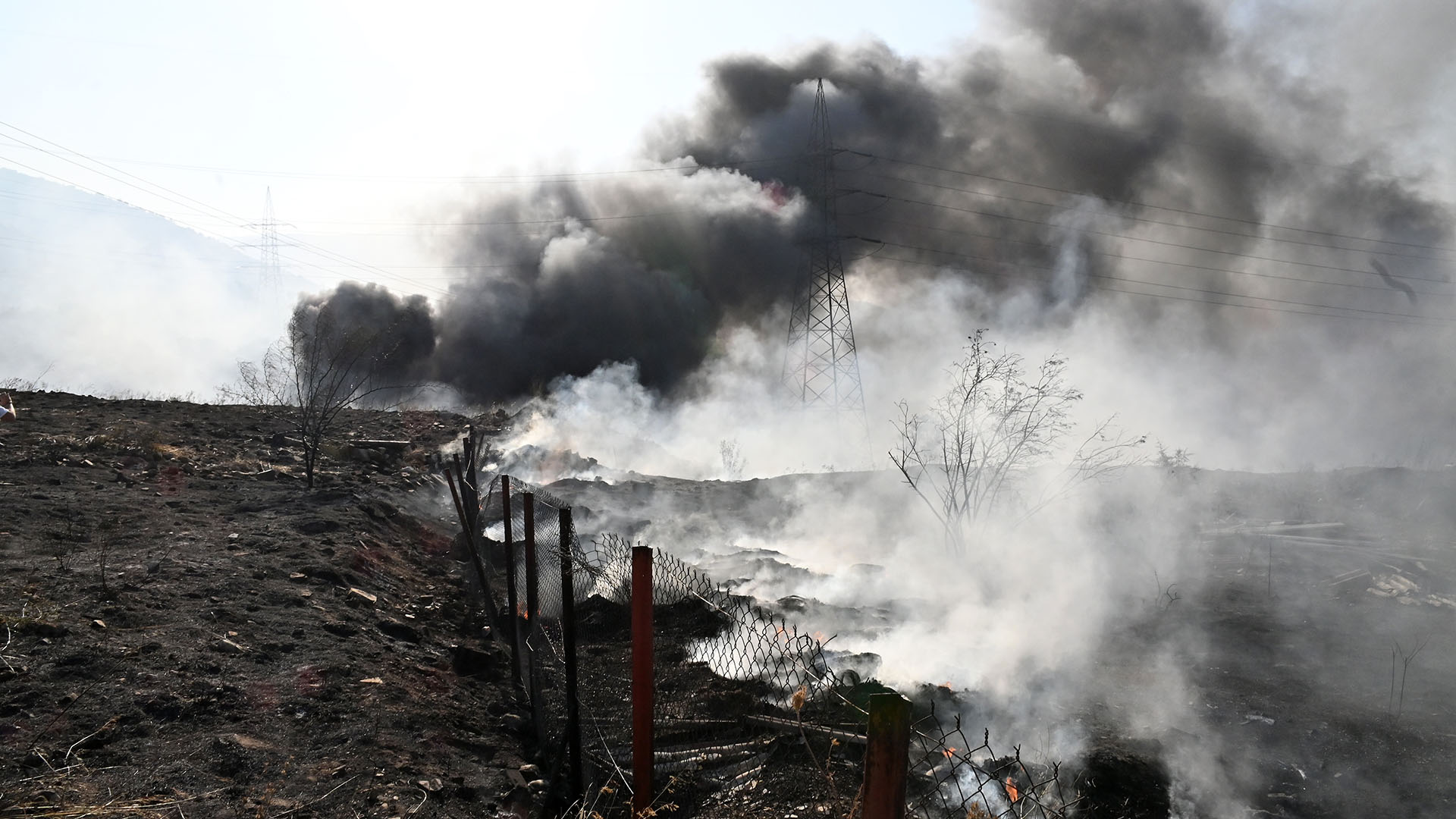 «Ενας κτηνοτρόφος που χάνει τα ζώα του, δύσκολα μπορεί να σηκώσει κεφάλι»-3