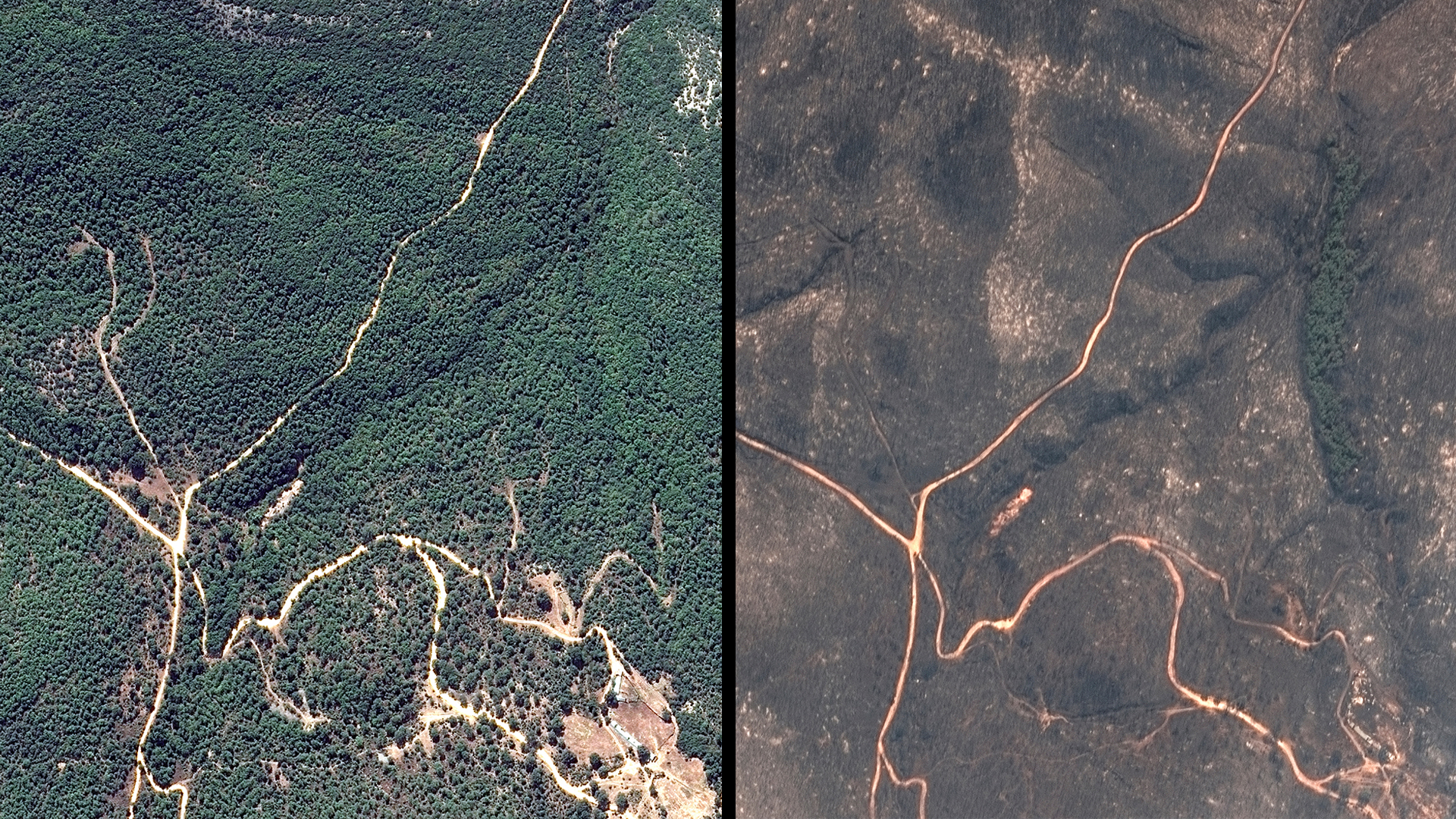 Οι φλόγες «καταπίνουν» ένα από τα τελευταία καταφύγια αρπακτικών πουλιών στην Ευρώπη-3