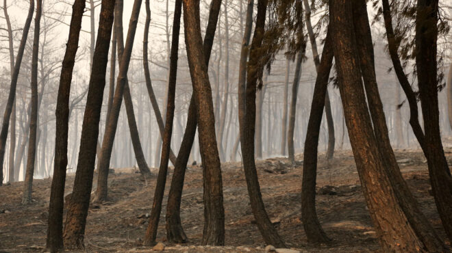 αλεξανδρούπολη-η-μεγαλύτερη-πυρκαγι-562581193