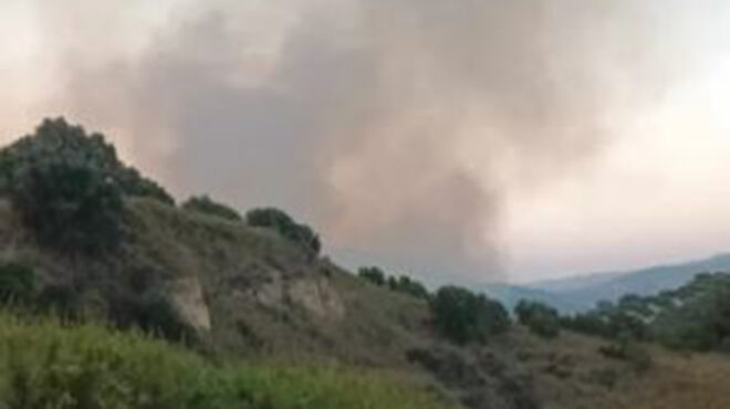 ηράκλειο-πυρκαγιά-σε-περιοχή-με-χαμηλ-562569328