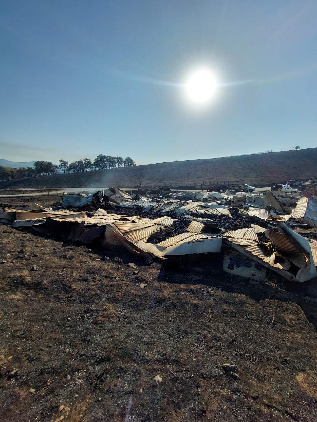 «Ενας κτηνοτρόφος που χάνει τα ζώα του, δύσκολα μπορεί να σηκώσει κεφάλι»-2